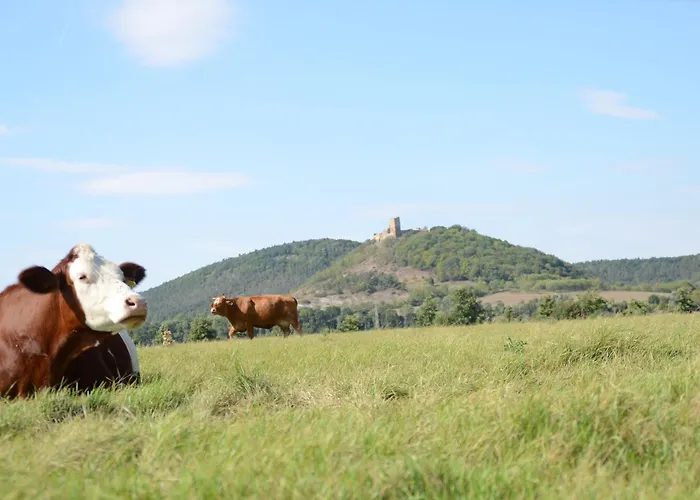 - Erfurt Wandersleben